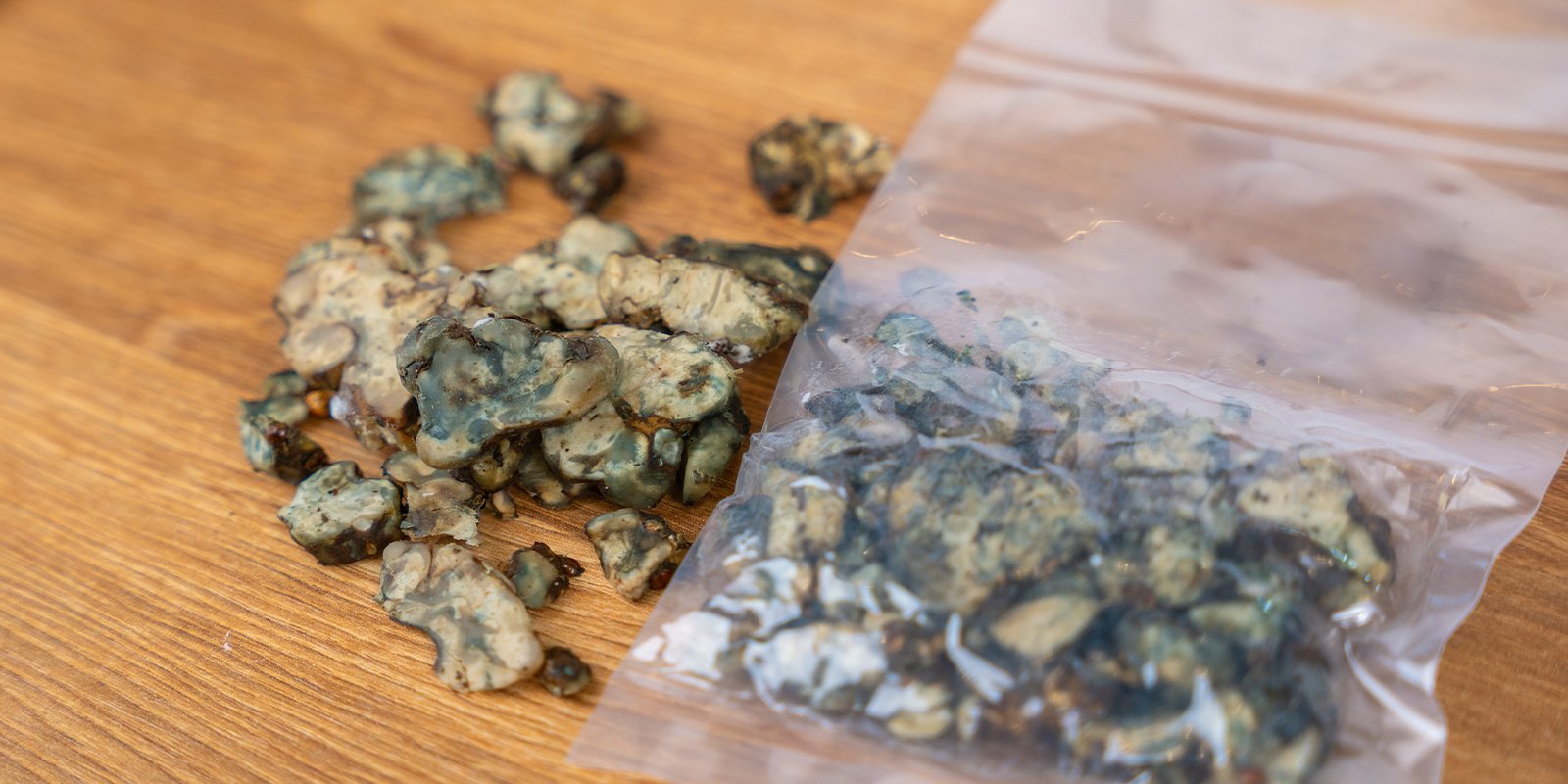 Como identificar trufas mágicas estragadas