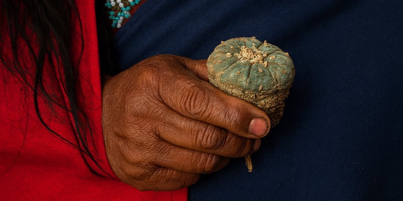 O desenrolar de uma cerimónia de peiote