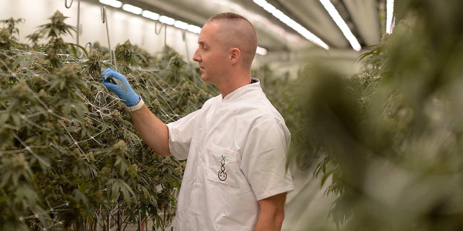 Navigating the current landscape of the experiment Navigating the current landscape of the experiment