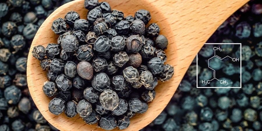 A ciência dos terpenos