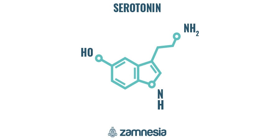 Como actua o LSD?