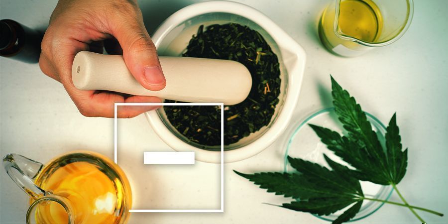 Desvantagens do azeite com infusão de cannabis
