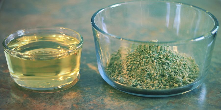 Como fazer azeite de oliva infundido com canábis: Ingredientes e utensílios