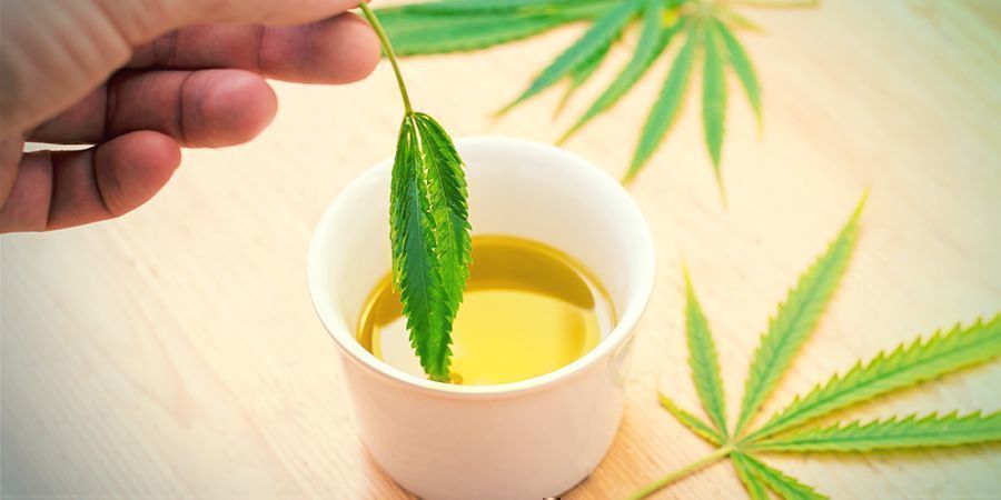 O que é azeite de oliva infusionado com canábis?
