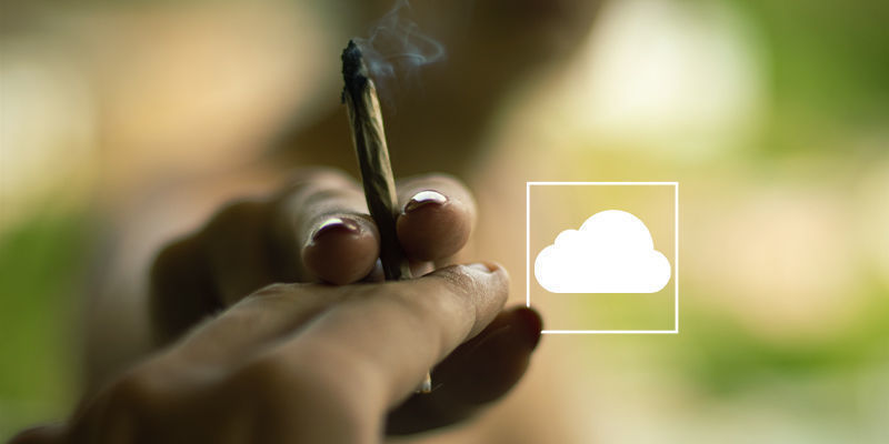 A cannabis pode bloquear os sonhos?