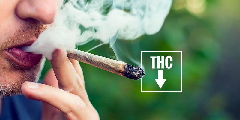 Como evitar olhos vermelhos causados pelo consumo de cannabis