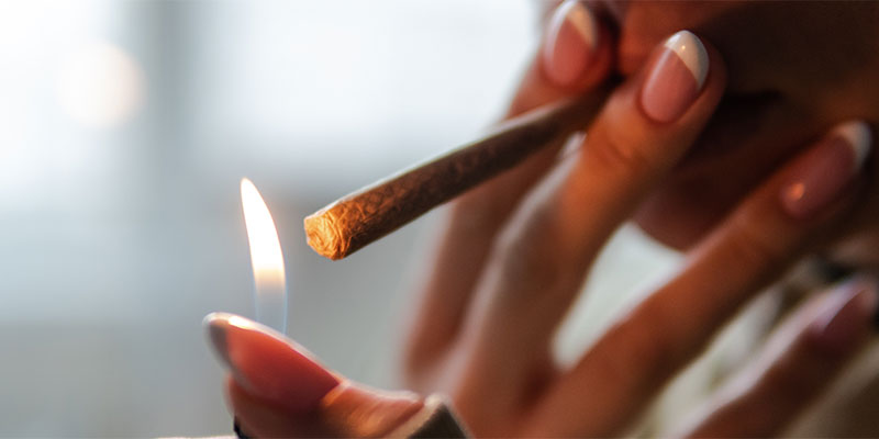 Uma forma melhor de fumar: charros sem tabaco
