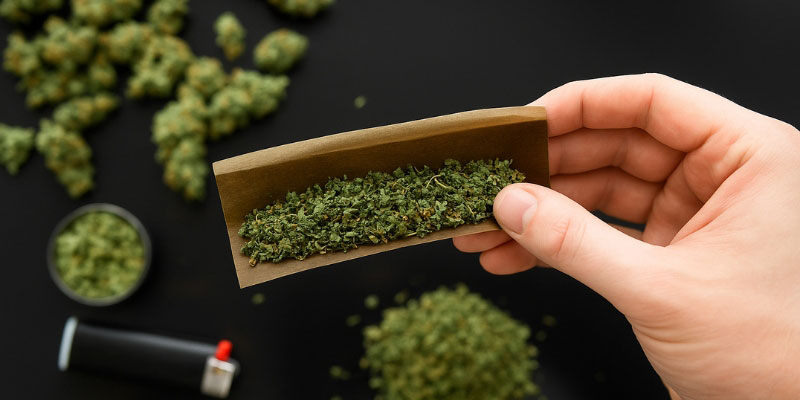 Flor de CBD (mais popular)
