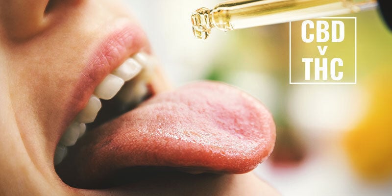 O CBD pode converter-se em THC no corpo humano?