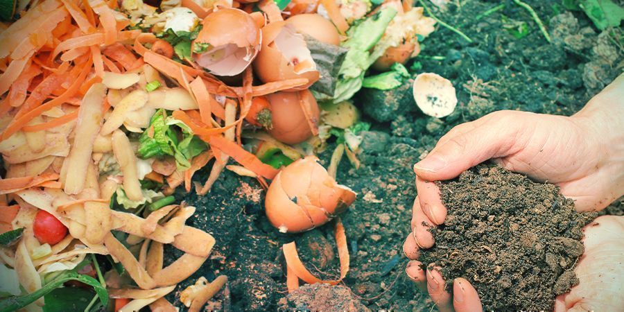 Ajustar o pH do solo em cultivo orgânico
