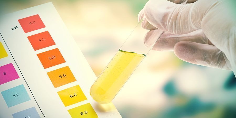 POR QUE É QUE O PH É TÃO IMPORTANTE NO CULTIVO DE CANNABIS?
