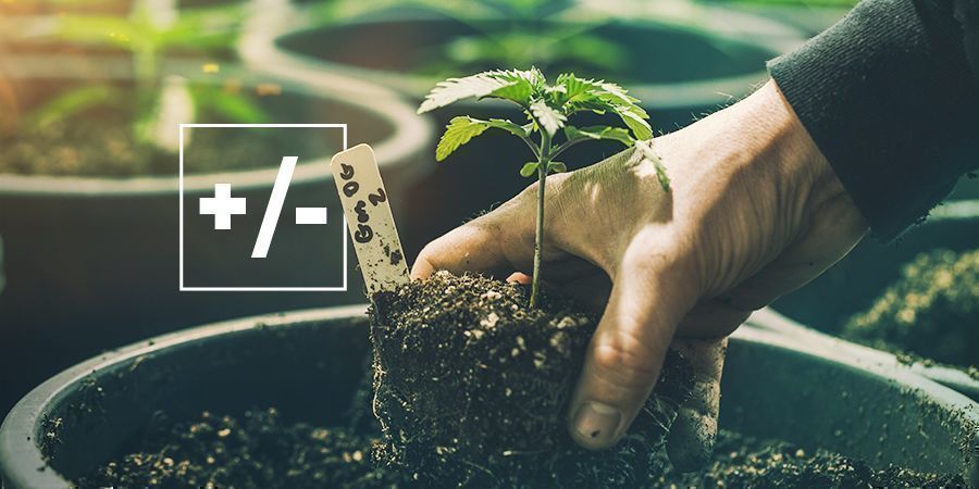 Prós e contras do uso de terra