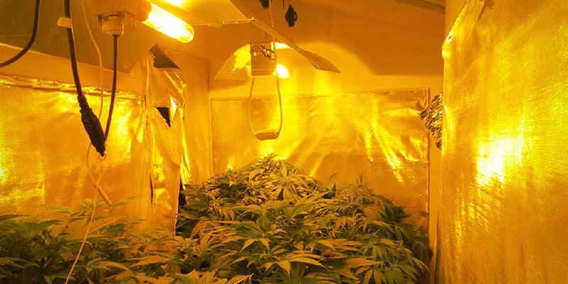 O que são luzes de cultivo HPS?