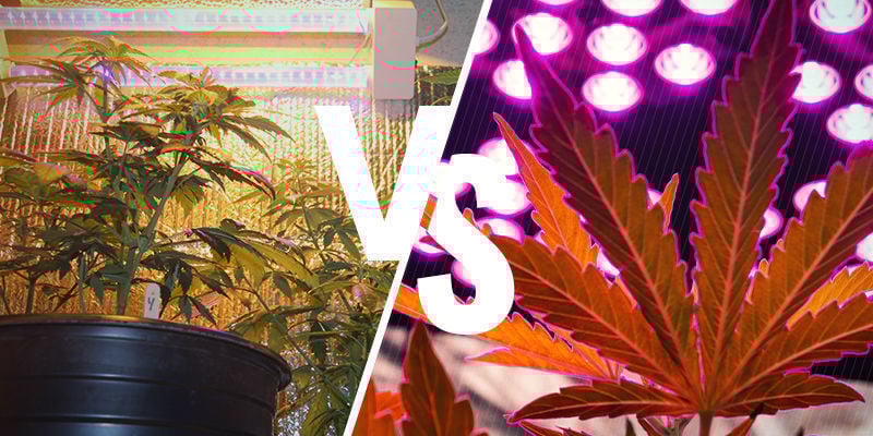 Qual é melhor: HPS ou LED?