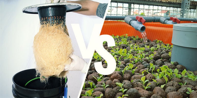 Aeropónica vs Hidropónica: qual é melhor?