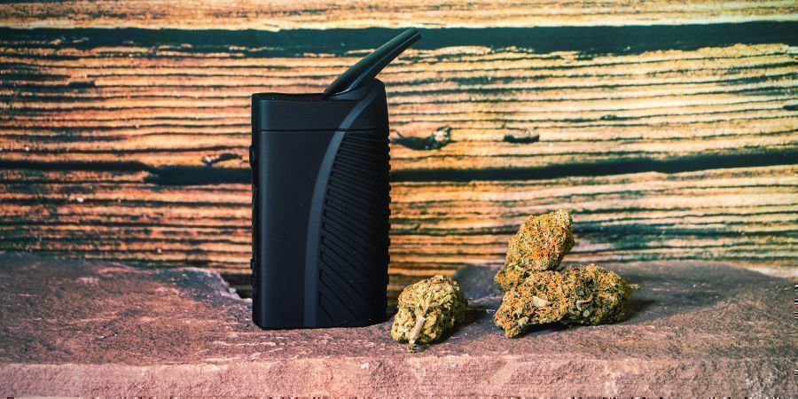 UTILIZE FLOR DE CANNABIS FRESCA