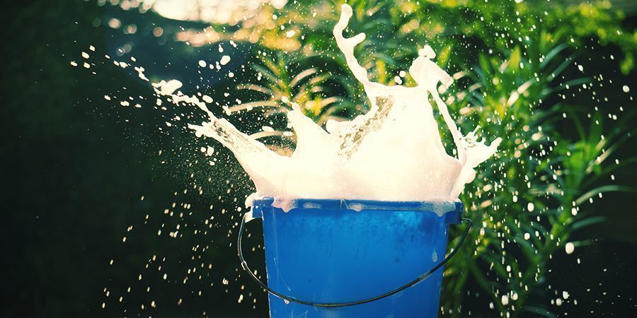 Sabão de potássio - tratamento foliar para canábis