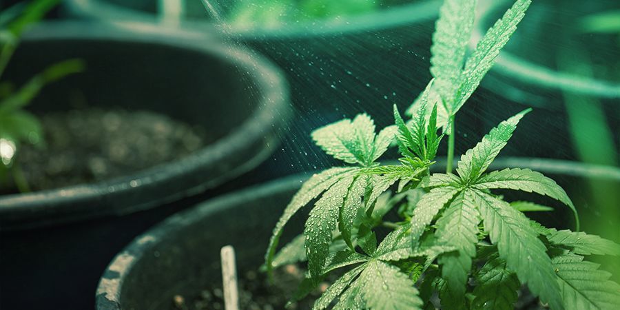 O que é a pulverização foliar?