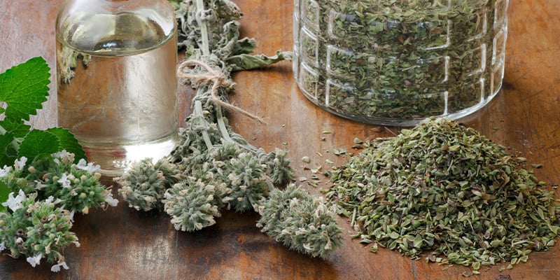 Catnip (para humanos)