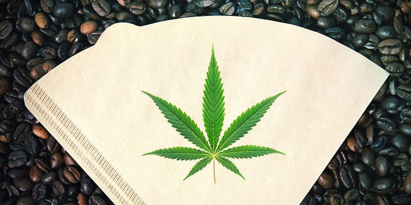 Preparação de bubble hash — Método 1: Bubble hash com filtro de café