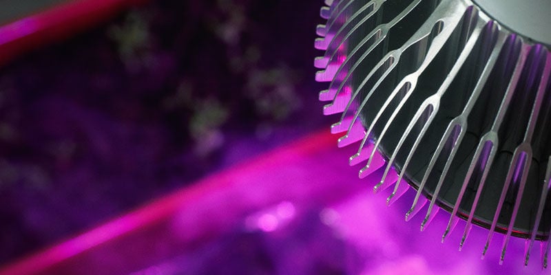 Qual é o melhor espectro de luz para canábis autoflorescente?
