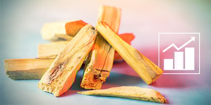 Os efeitos da madeira de palo santo