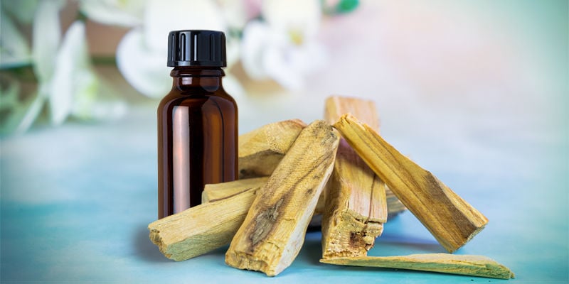 Como Queimar Óleo Essencial de Palo Santo
