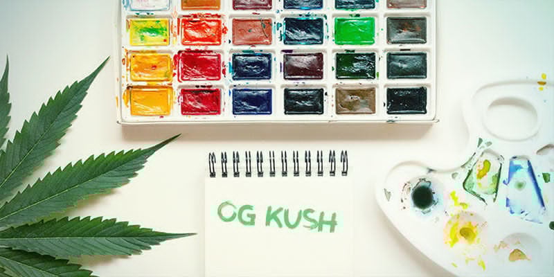Características da OG Kush
