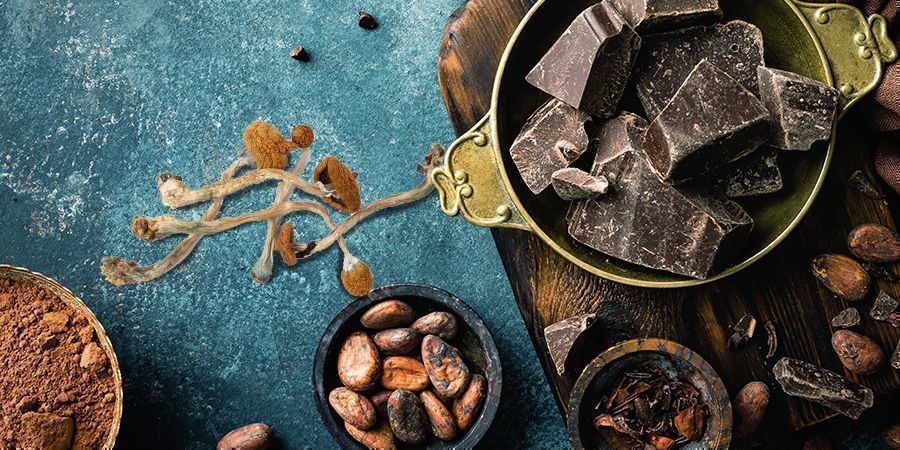 Chocolate com cogumelos mágicos