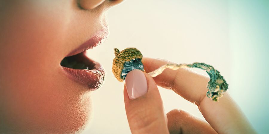 Viajar com cogumelos mágicos: O que considerar