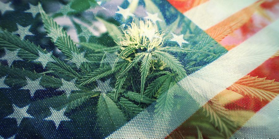 A GUERRA CONTRA AS DROGAS: UM FRACASSO TOTAL?