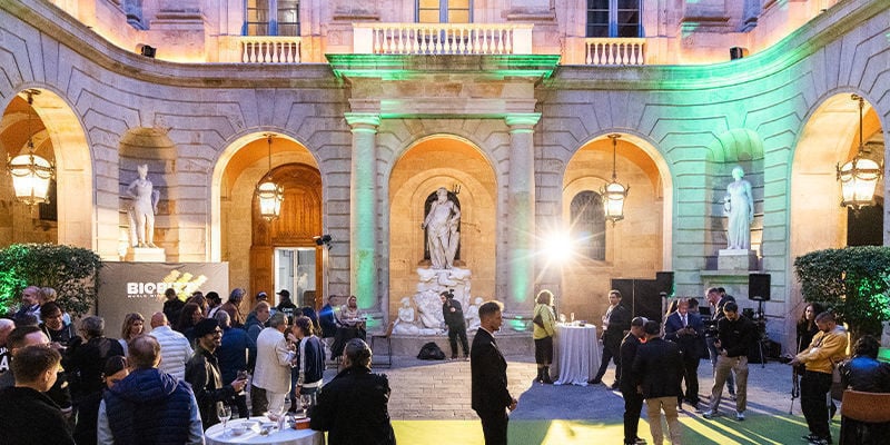 O que são os International Cannabis Awards?