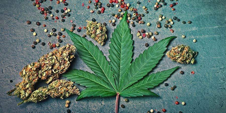 Power Flower: Sabor e Efeitos