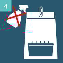 Aparecimento dos primeiros cogumelos