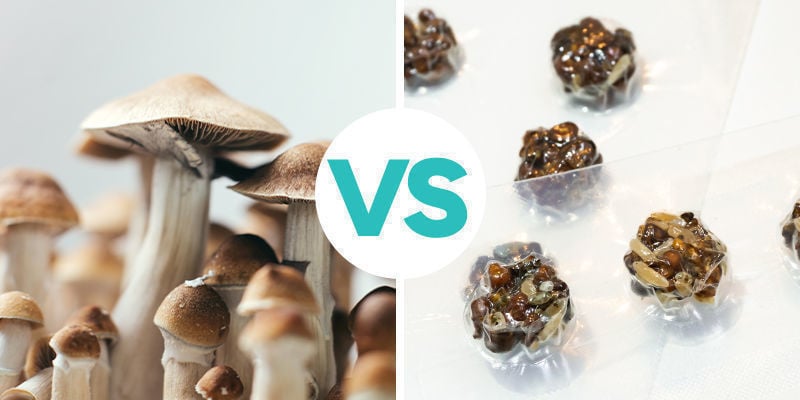 Qual a diferença entre trufas mágicas e cogumelos mágicos?