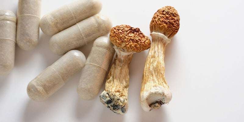 Como são consumidas as trufas e cogumelos mágicos?