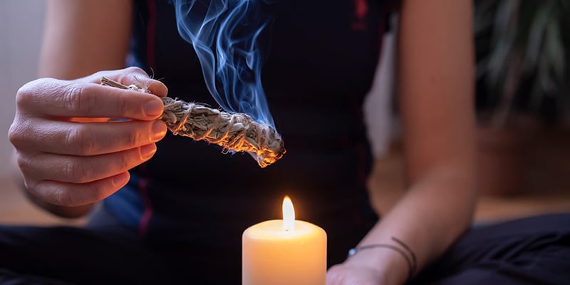 Onde comprar Salvia divinorum e considerações de segurança