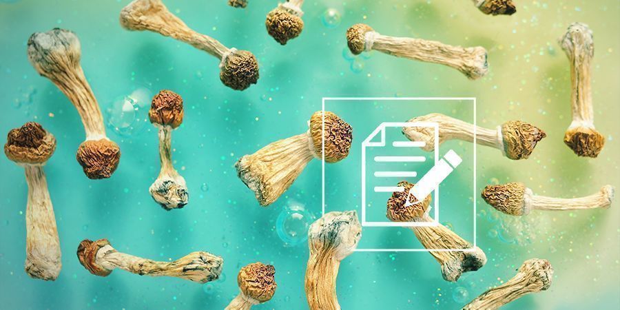 O que saber sobre cogumelos mágicos