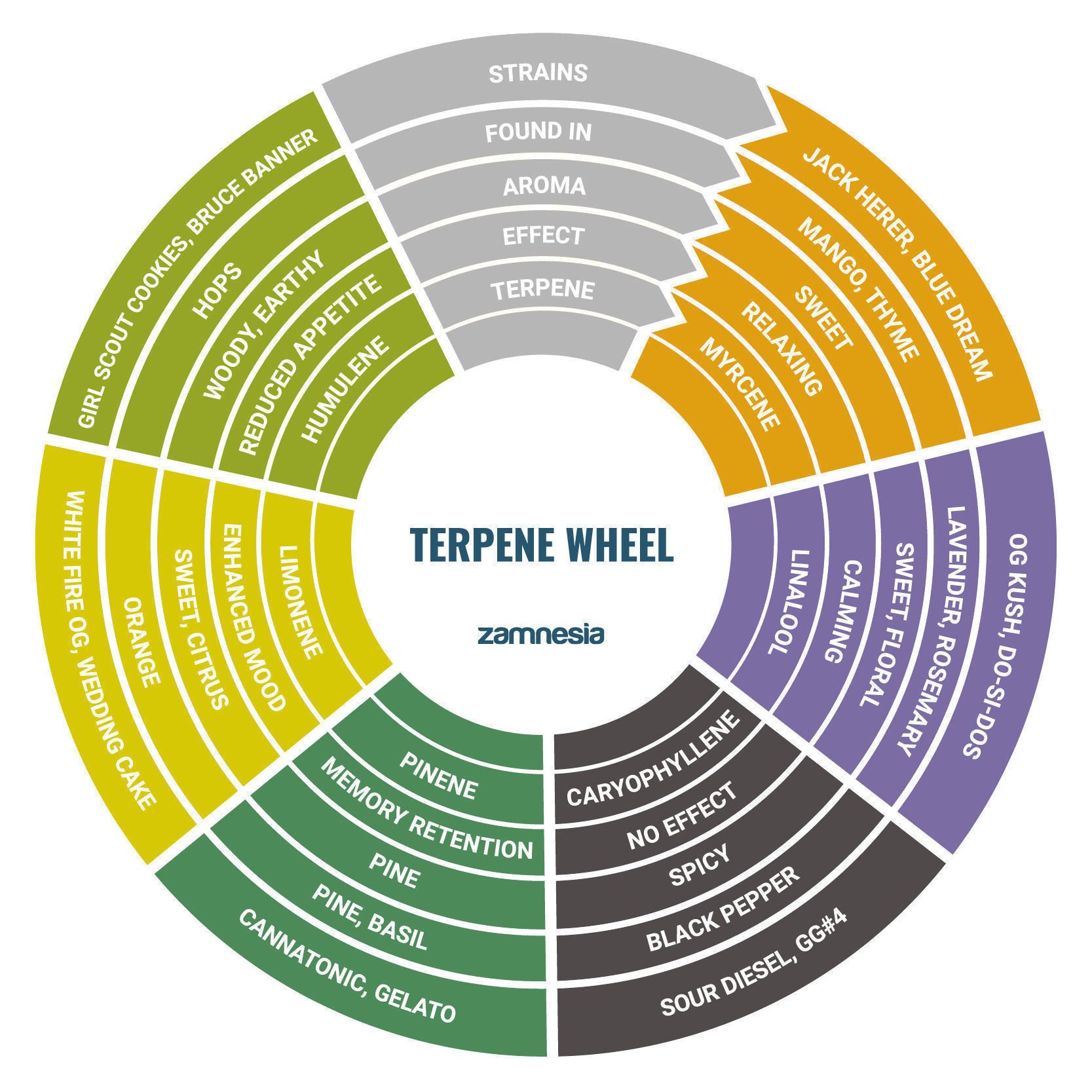 Roda dos terpenos