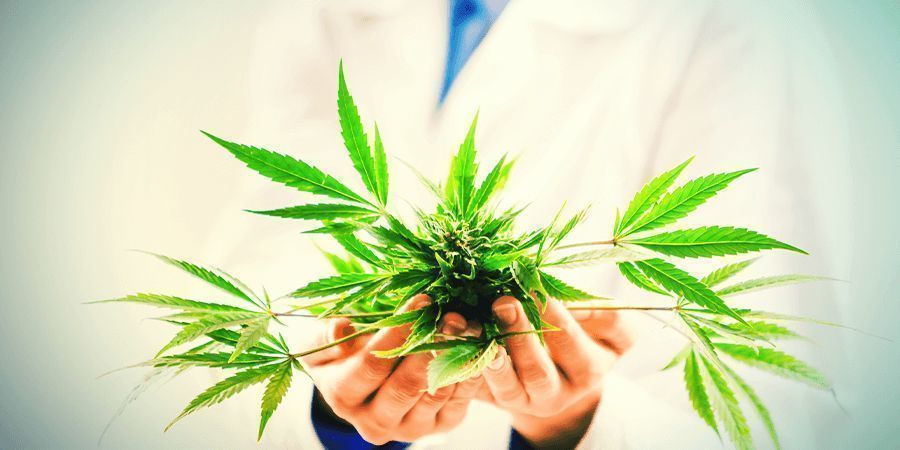 Para que serve o CBD?