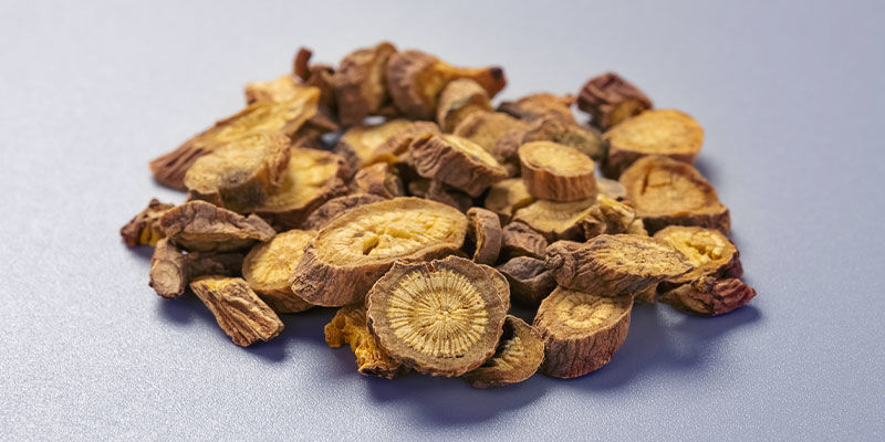 UTILIZAÇÃO HISTÓRICA DA SKULLCAP
