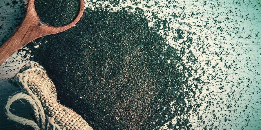 Prevenir moscas dos cogumelos - borras de café