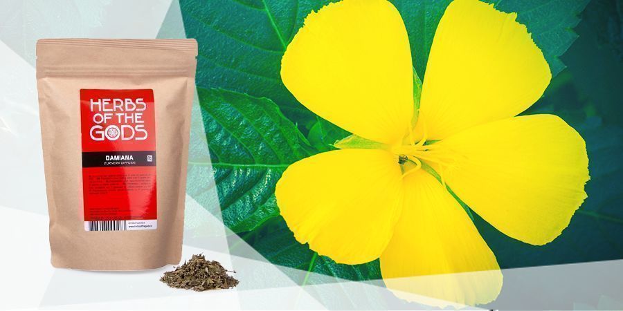 Damiana - Ervas para vaporizar para um bom ânimo