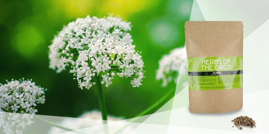 Valeriana - Ervas para vaporizar para o bem-estar