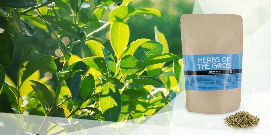 Yerba Mate - Ervas para vaporizar para um bom humor