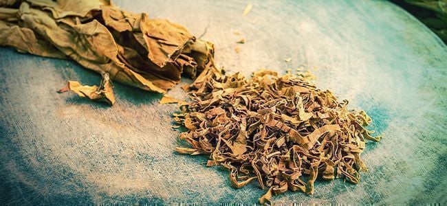 Os Vapes de Shisha Contêm Nicotina?