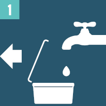 Instru&ccedil;&otilde;es de uso Kits de Cogumelos M&aacute;gicos Zamnesia