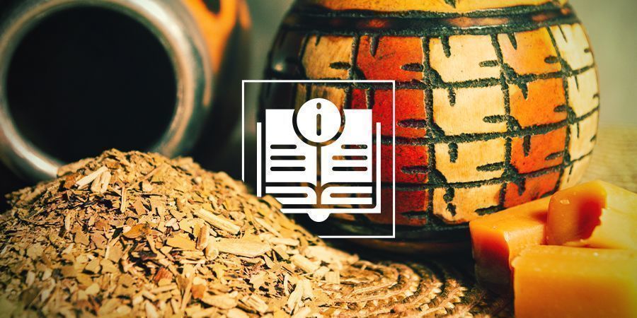 Yerba Maté: Uma Infusão Ancestral Rica em Nutrientes