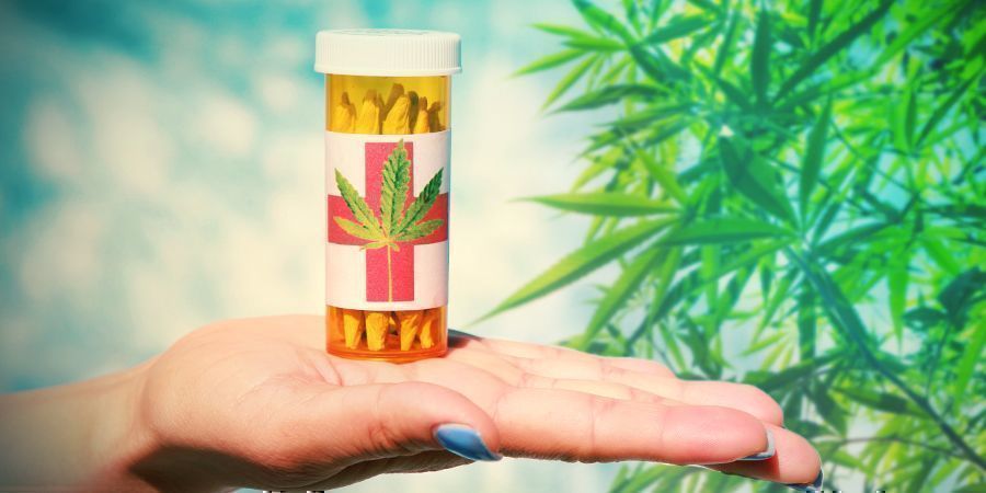 Coletivos de Cannabis: Organizações Sem Fins Lucrativos