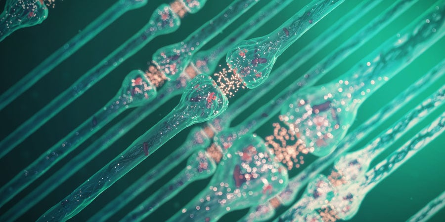 O que acontece quando se mistura álcool e CBD?